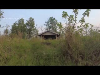 onlyfans robin hood888 s outdoor”  loading=”lazy