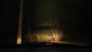 Sex With Mother's Friend In A Car