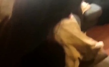 American Amateur's Interracial Threesome