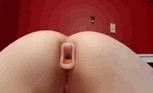 The Whole Day Anal Plugged