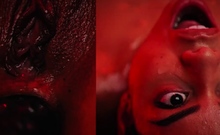 Pink Labia Close Up Of Naive Brunette