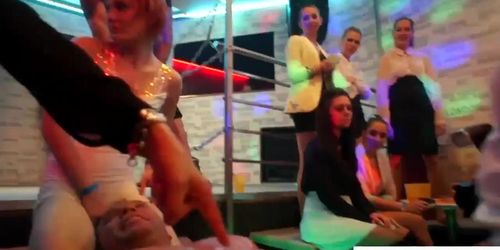 Party Babes Sucking Cocks And Getting Fucked