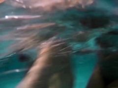 Amateur Women Fuck Guy In Amateur Group Sex Porn