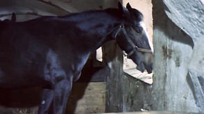 Smoking Anal Sex Outdoor Sex Hairy Pussy Babes In Classic Porn