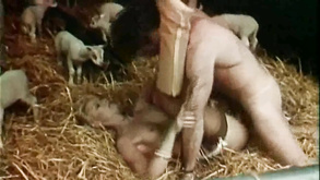 A Popular Vintage Porn