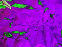 Webcam Milf With Breast Milk Live Hardcore Masturbate