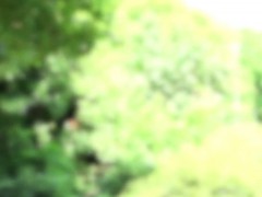 Public Pickedup Euro Sucking Cock In The Park