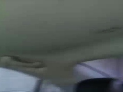 Black Babe Stephanie Blowjobs And Facials