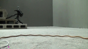 Busty Submissive Babe In Chain Tortured In The Basement