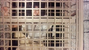 Blonde Goddess   1982 (2K)