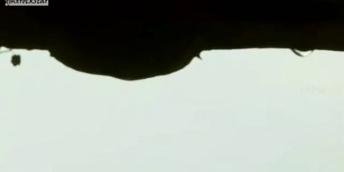 Love In India Compilations