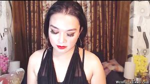 Brunette Webcam Girl Chatting