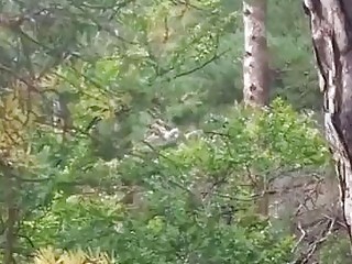 Outdoor Brunette Masturbates On A Blanket Passionately